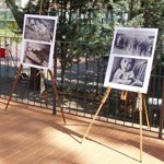 storia8